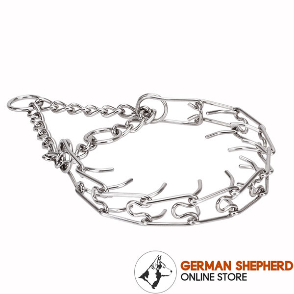 Stainless steel pinch collar for ill behaved canines