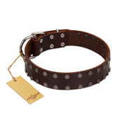 "Star Party" Handmade FDT Artisan Brown Leather German Shepherd Collar with Silver-Like Studs