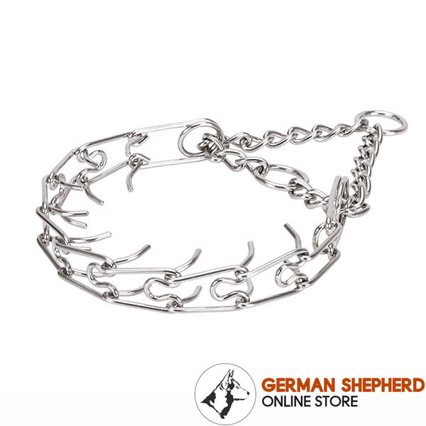 Large dogs prong collar with stainless steel removable links