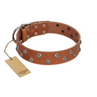 "Waltz of the Flowers" Handmade FDT Artisan Tan Leather German Shepherd Collar with Chrome-plated Engraved Studs