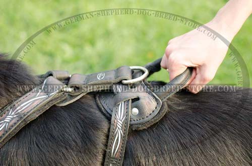 Unbelievable German Shepherd Dog Harness