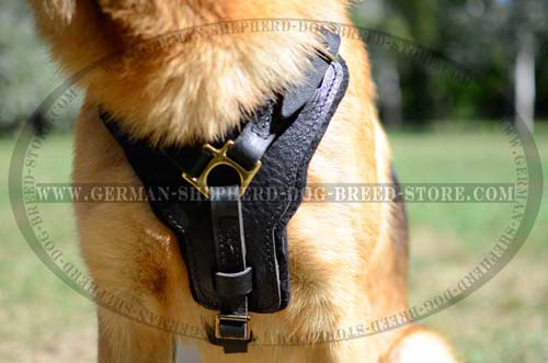 Extracool German Shepherd Harness