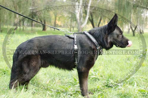Comfy German Shepherd Leather Dog Harness