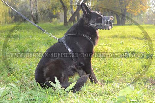 Handcrafted German Shepherd Dog Harness