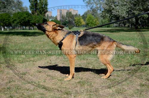 Topnotch German Shepherd Dog Harness