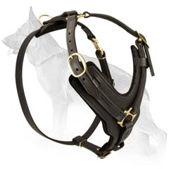 Charming German Shepherd Dog Harness