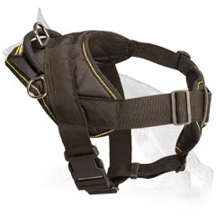 Majestic German Shepherd Dog Harness