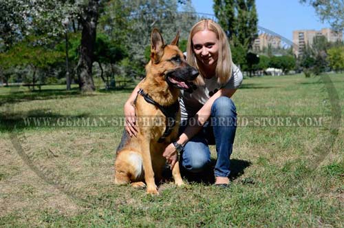 Ultimate Tracking German Shepherd Harness