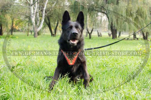 Amazing German Shepherd Dog Harness