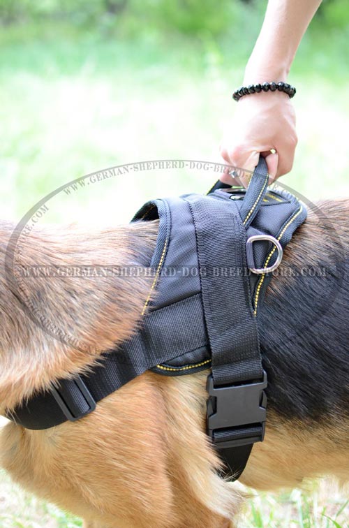 German Shepherd Harness Nylon For Walking