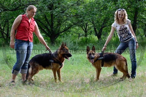 Multifunctional Nylon German Shepherd Harness with Patches