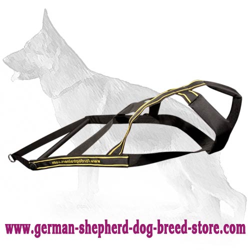 Genuine Leather Dog Harness for German Shepherd : German Shepherd Breed: Dog  harnesses, Muzzles, Collars, Leashes