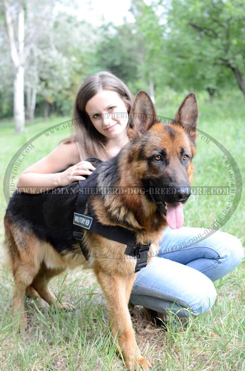 Nylon German Shepherd Harness for Professional Working Dogs