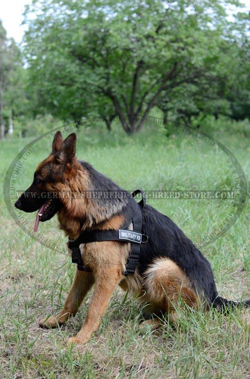 Amazing German Shepherd Nylon Harness