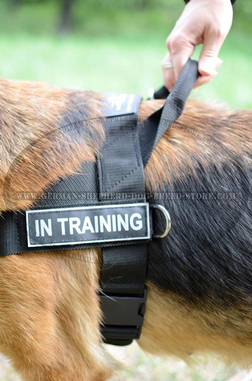 German Shepherd Nylon Harness For Everyday Use