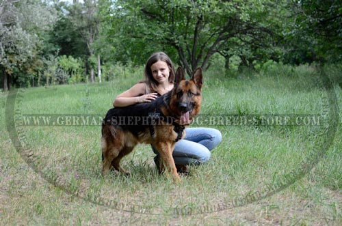 German Shepherd Nylon Harness For Walking