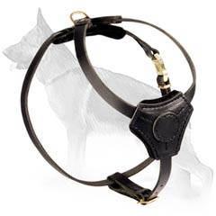 Amazing German Shepherd Puppy Harness