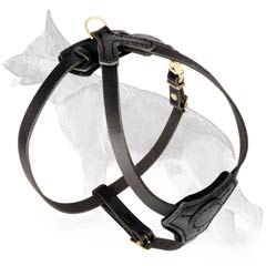 Charming German Shepherd Puppy Harness