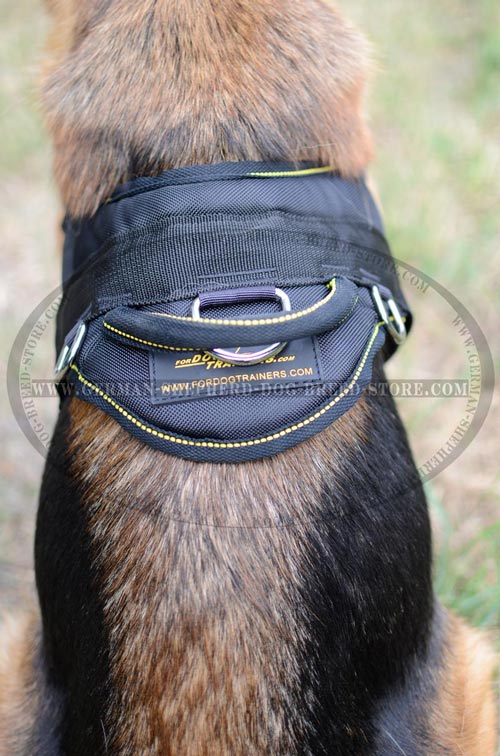 Nylon Handle On Dog Harness Reliable