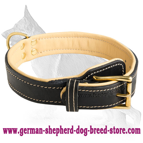2 Ply Leather German Shepherd Collar Nappa Padded