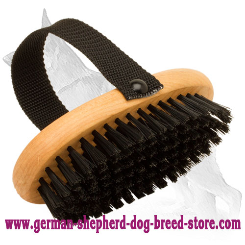 https://www.german-shepherd-dog-breed-store.com/images/large/Bristle-German_Shepherd-Brush-All-Coat-Types-KA18_LRG.jpg