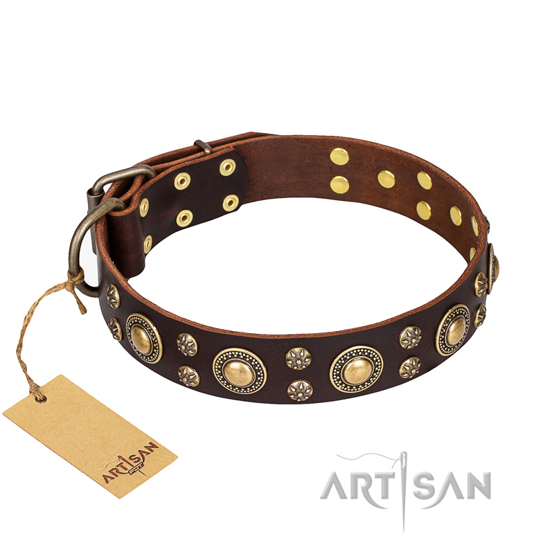 'Flower Melody' FDT Artisan Brown Leather German Shepherd Collar with Mixed Studs for Daily Use