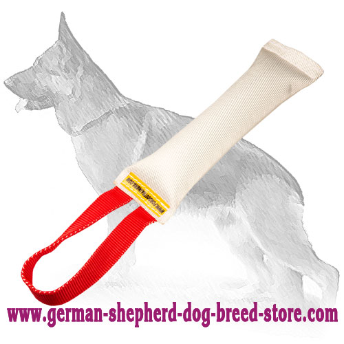 Fire Hose Dog Bite Toy With Handle for Young Dog Training