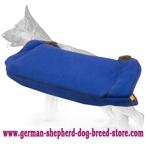 Puppy Bite Builder for German Shepherd Grip Training