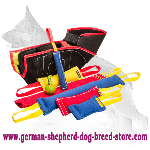 All in One Dog Bite Set for Professional Training