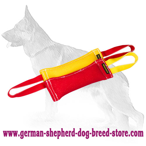 Set of 2 French Linen Tugs for Puppy Training