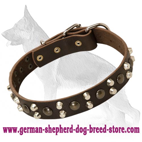 Custom Studded German Shepherd Leather Dog 【Collar】 German Shepherd Breed Dog harness, Muzzle