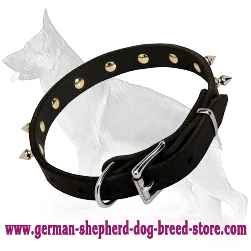 Newly designed spiked leather dog collar
