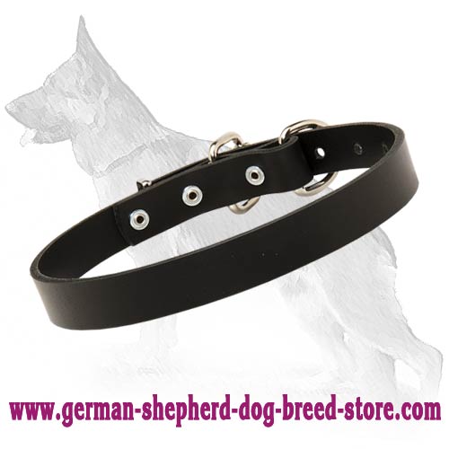 German Shepherd Leather Collar 25 mm