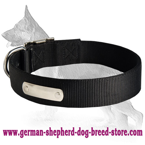 All Weather Nylon Dog Collar With Name Tag