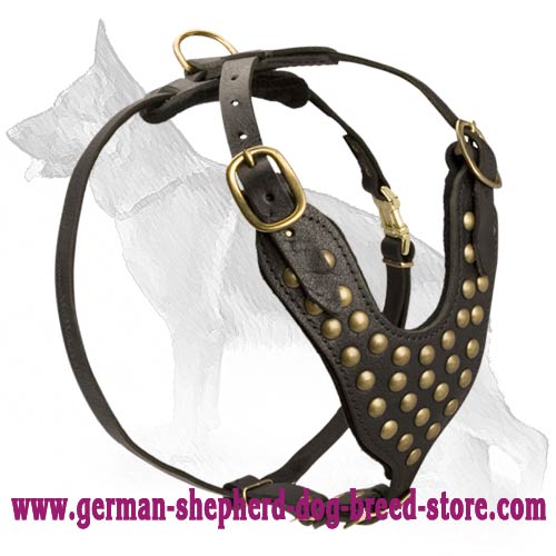 Studded Leather German Shepherd Dog Harness
