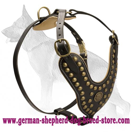 Safe And Comfortable German Shepherd Dog Harness