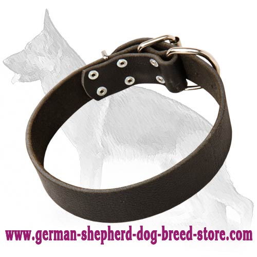 Leather Field Collar For German Shepherd Dog