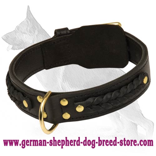 Handcrafted Leather Dog Collar