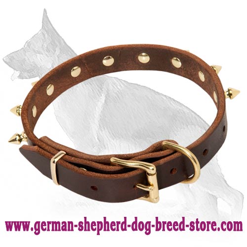 Multipurpose Spiked Leather Collar