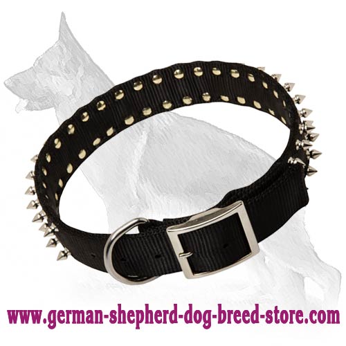 Leather Spiked Dog Collar