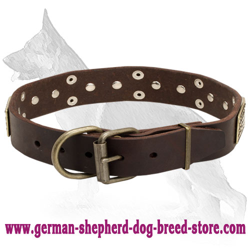 Leather German Shepherd Collar with Brass Plates and Nickel Plated Cones