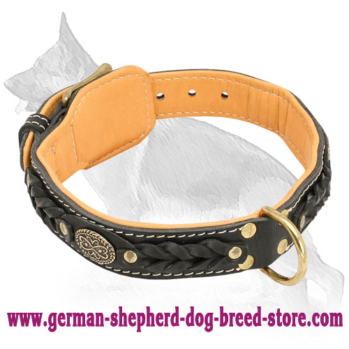 Nappa Padded Leather German Shepherd Collar with Braids and Oval Plates
