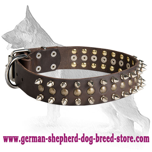 Leather German Shepherd Collar with Nickel Plated Spikes and Brass Studs
