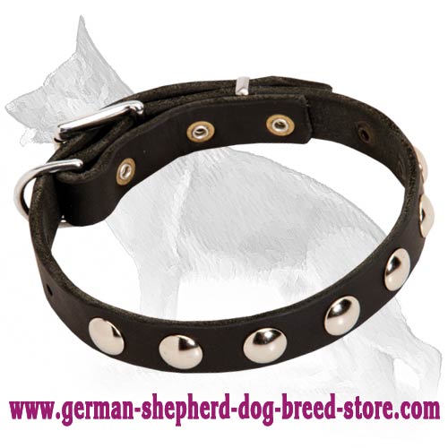 Elegant Studded Leather German Shepherd Collar
