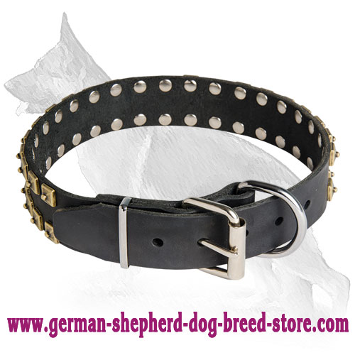 "Caterpillar" Leather German Shepherd Collar with Brass Studs