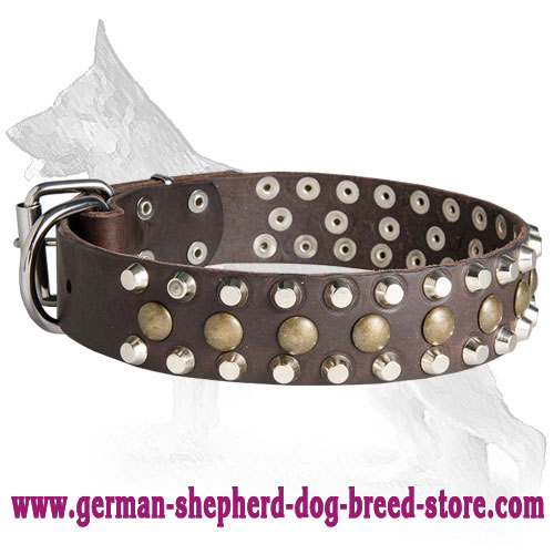 German Shepherd Leather Dog Collar Studds And Pyramids