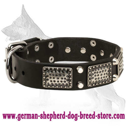 Leather German Shepherd Collar with Vintage Plates and Cones