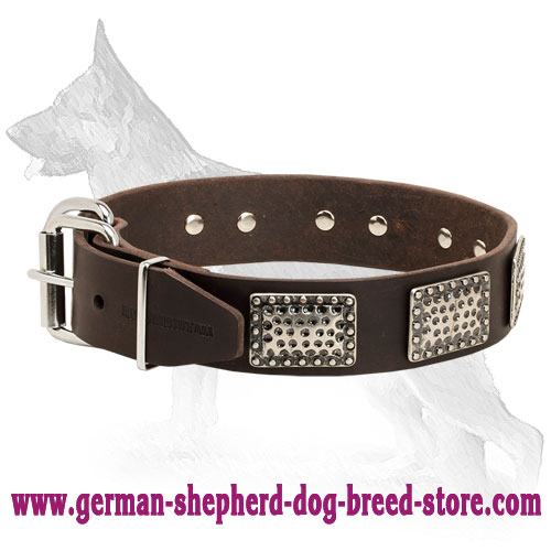Leather German Shepherd Collar with Massive Plates