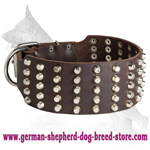 German Shepherd Leather Dog Collar Pyramids Five Rows