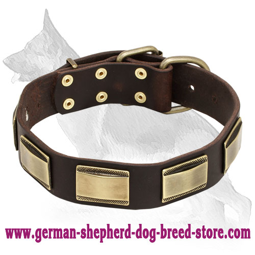 Leather German Shepherd Collar with Brass Plates